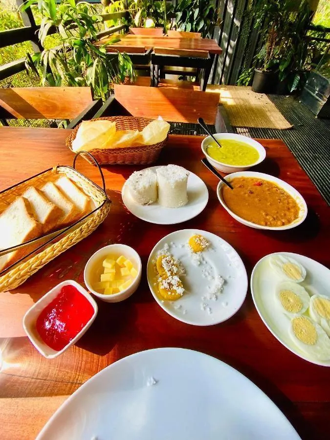 New Cielo Inn Meppādi