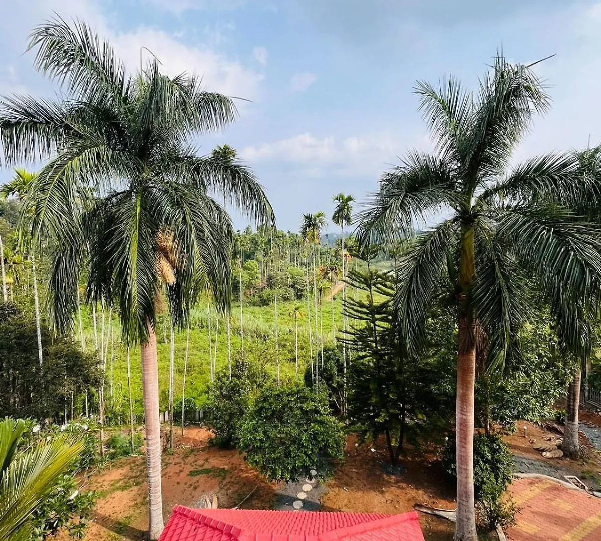 New Cielo Inn Meppādi